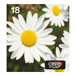 Epson Original Easy Mail Packing 18...