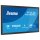 iiyama TF2438MSC-B2