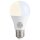 Shelly · Plug & Play · Duo Bulb E27 Gen3 · LED Lampe · dimmbar · Messfunktion · WLAN · BT