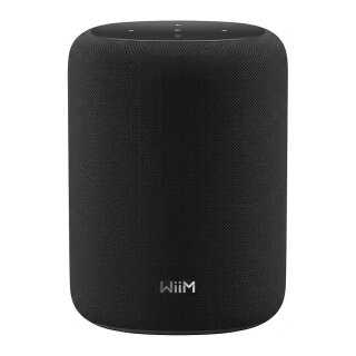 WiiM Sound LITE LPWISNDLB Schwarz