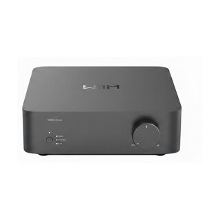 Wiim Vibelink Amp HiFi-Verstärker grau