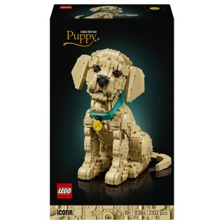 11384 Icons Golden Retriever Welpe