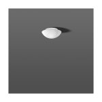 RZB 211005.002 Opalglasleuchte 60W IP43 seidenmatt D=250mm