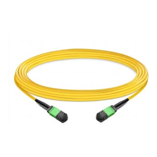 EFB MTP/APC(F)-MTP/APC(F) Patchkabel OS2 12 Fasern Typ B LSZH gelb 30m