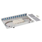 EFB Spleibox gr ausziehbar LC OS2 24xPigtails abgesetzt...