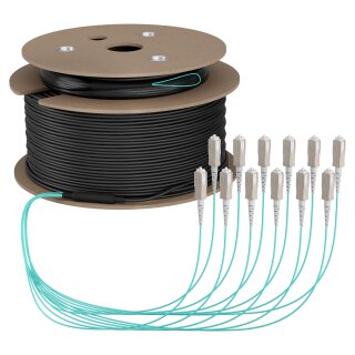 EFB Trunkkabel U-DQ(ZN)BH OM3 12G (1x12) SC-SC 200m Dca LSZH