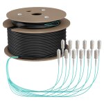 EFB Trunkkabel U-DQ(ZN)BH OM3 12G (1x12) SC-SC 200m Dca LSZH