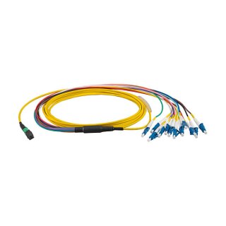 EFB MTP/APC(F)-LC Trunkkabel OS2 12 Fasern Typ B LSZH gelb 2m