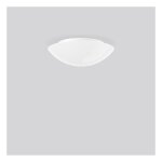 RZB 211059.002 Opalglasleuchte 2x60W seidenmatt D=370mm