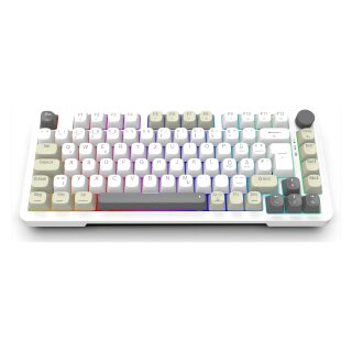 INCA Gaming Tastatur RGB/GraySwitch/USB-C/BT 2.00m weiß
