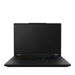 Schenker XMG APEX 16 MAX - M25mxf - 16" QHD 300Hz...