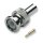 EFB BNC-Crimpstecker RG59/62 75/93Ohm