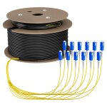 EFB Trunkkabel U-DQ(ZN)BH OS2 12E (1x12) SC-SC 100m Dca...