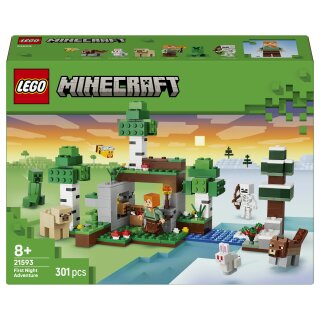 21593 LEGO 21593 Minecraft Erstes Abenteuer in der Nacht (2.5.)