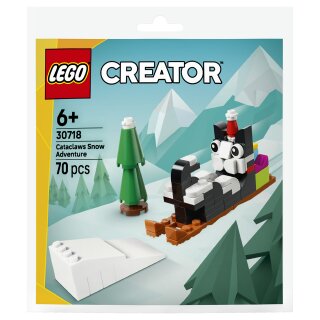 30718 LEGO 30718 Mini-Builds Cataclaws Schneeabenteuer