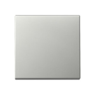 GIRA 3296600 Wippe System 55 Edelstahl