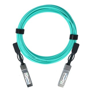BlueOptics 10Gb 10m SFP+ 10GBASE-SR AOC( 10GB-F10-SFPP)