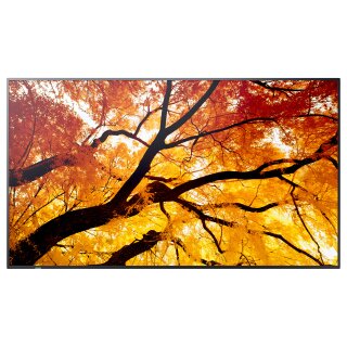 Sharp MultiSync M982 Digital Signage Display 247,7 cm 98 Zoll