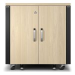 APC NetShelter - Schrank (vertikal) - schallisoliert - AC...