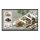 2,18 m (86") 3840 x 2160 Pixel LG 86TR3DQ-B 16:9 4K Ultra HD IPS 8 ms 60 Hz DP HDMI LAN WIFI Speaker Android