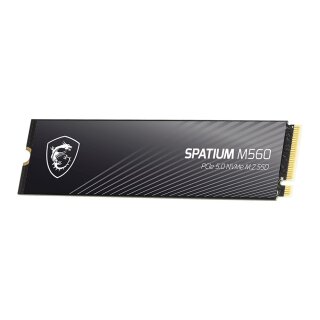 M.2 2TB MSI Spatium M560 (M.2 2280) PCIe Gen5 x4 NVMe