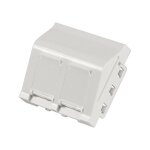 EFB Zentralplatte 45x45mm fr 2 Keystones, Auslass gewinkelt