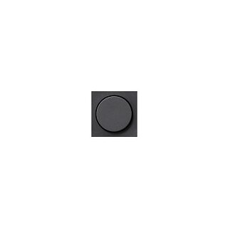 GIRA 065028 Abdeckung Drehdimmer System 55 anthrazit