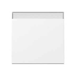 GIRA 329903 Wippe BSF System 55 Reinweiß