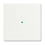 BUSCH JAEGER BJ 6230-10-884 Wippe 1f...