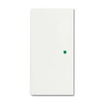 BUSCH JAEGER BJ 6230-20-884 Wippe 2f...