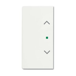 BUSCH JAEGER BJ 6232-20-884 Wippe 2f Jalousie matt studioweiß Busch-free@home future linear