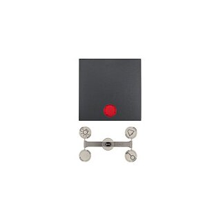 Berker 1621 16 06 Wippe Kontroll- ANT B.1/B.3 mit Linsen