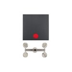 Berker 1621 16 06 Wippe Kontroll- ANT B.1/B.3 mit Linsen