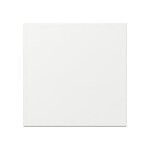 Gira 349603 Wippe gerade System 55 Reinweiß