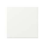 Gira 349627 Wippe gerade System 55 Reinweiß m