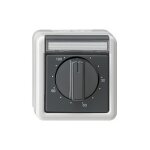 GIRA 032130 Zeitschalter 120min grau WG Aufputz