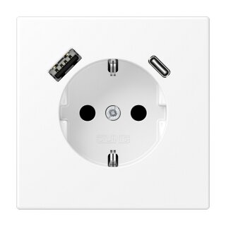 Jung LS1520-15CAWWM SCHUKOsteckdose m.USB Typ AC