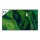 109,2 cm (43") 3840 x 2160 Pixel SONY FW43BZ35PB.CEI 16:9 4K Ultra HD LED 8 ms SmartTV HDMI USB-Hub VESA 200 x 200 mm LAN WIFI Speaker Android