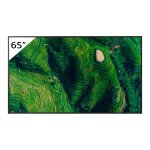 165,1 cm (65") 3840 x 2160 Pixel SONY FW65BZ35PB.CEI...