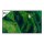 165,1 cm (65") 3840 x 2160 Pixel SONY FW65BZ35PB.CEI 16:9 4K Ultra HD LED 8 ms HDMI VESA 300 x 300 mm LAN WIFI Speaker Android