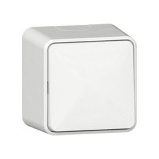GIRA 310613 Wippschalter AusWe + Montagepl. AP Reinweiß