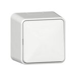 GIRA 310613 Wippschalter AusWe + Montagepl. AP...