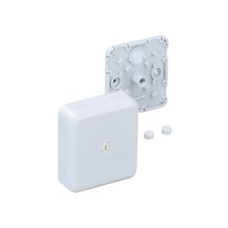 SPELS Abzw-Kasten leer AP 7 31560701