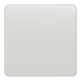 Siemens 5TG7801 DELTA profil Wippe 65x65mm f.Universalschalter Wechsel/aus