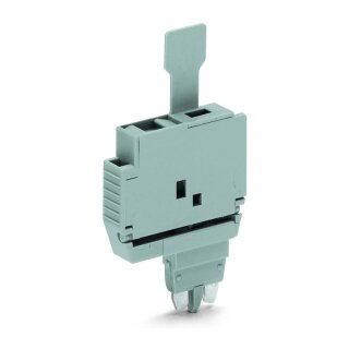 WAGO 2004-911 Sicherungsstecker,mit Lasche,fr G-Sicherungseinstze 5x20 mm