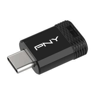 STICK PNY Elite-X Fit - USB flash drive - 256 GB