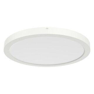 RIDI SARA290 NDWS830840OS285 Sanierungsdownligth D=290mm für Deckenöffnung 65-26
