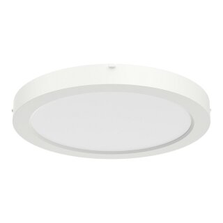 RIDI SARA220 NDWS830840OS220 Sanierungsdownligth D=217mm für Deckenöffnung 65-18