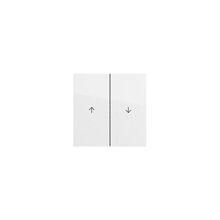 GIRA 329470 Wippe 2f Pfeil Flächenschalter Reinweiß