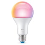 White&Color 60W E27 Standardform Tunable matt...
